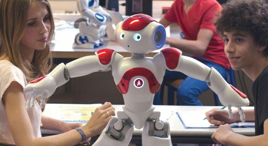 NAO Challenge 2020