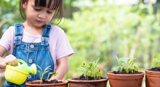 Dieta mediterranea: un webinar gratuito per educare alla sostenibilità