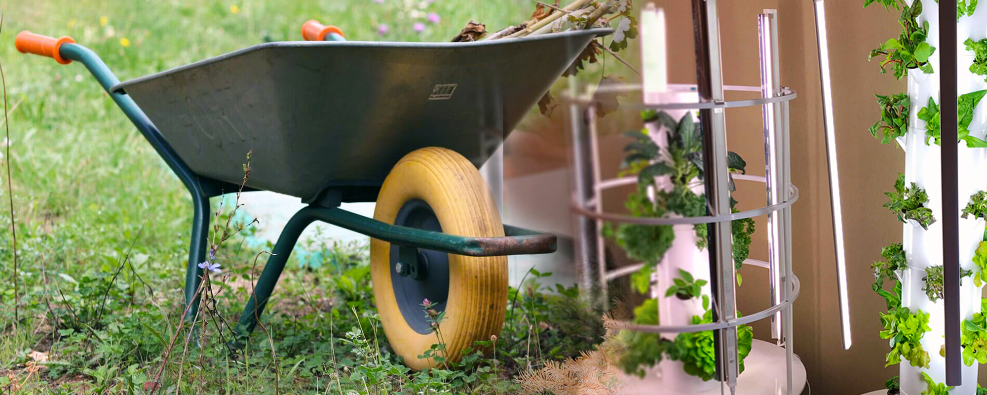 Webinar Bando Green Cosa Scegliere Innovation For Education