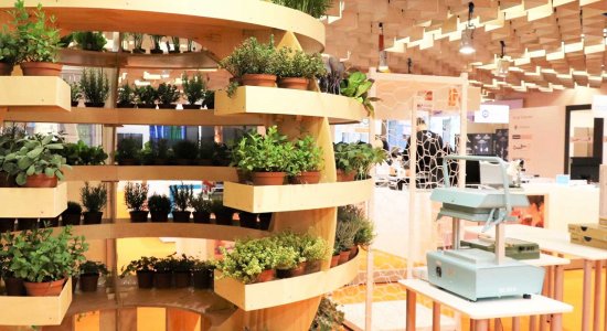 Bando “Green”: una nuova opportunità per educare alla sostenibilità