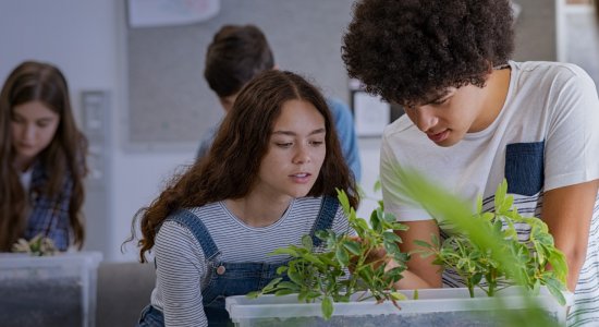 Dalle piante ai dati: come utilizzare una serra intelligente alla scuola secondaria di II grado